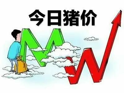 增量政策落地落实 经济回升向好态势巩固增强