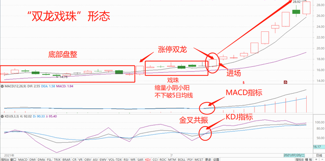 城里城外羊进门双龙抢珠定出来_智能AI深度解析_百度移动统计版.213.1.117